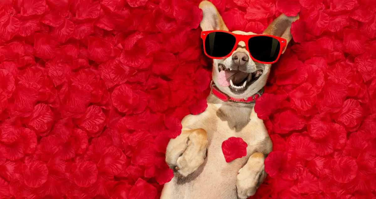 The Ultimate Guide to Valentine's Day Marketing Strategies for Kenyan Businesses in 2025