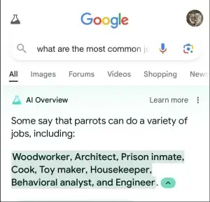 The New Google AI Overviews