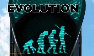 The Evolution of SEO by TECHenya Solutions