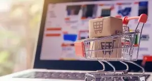 Setting up an Ecommerce Website will Require a Few Things.
