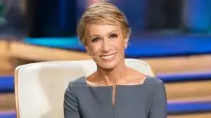 30 Reasons Why Most Startups Fail - Barbara Corcoran - TECHenya Solutions