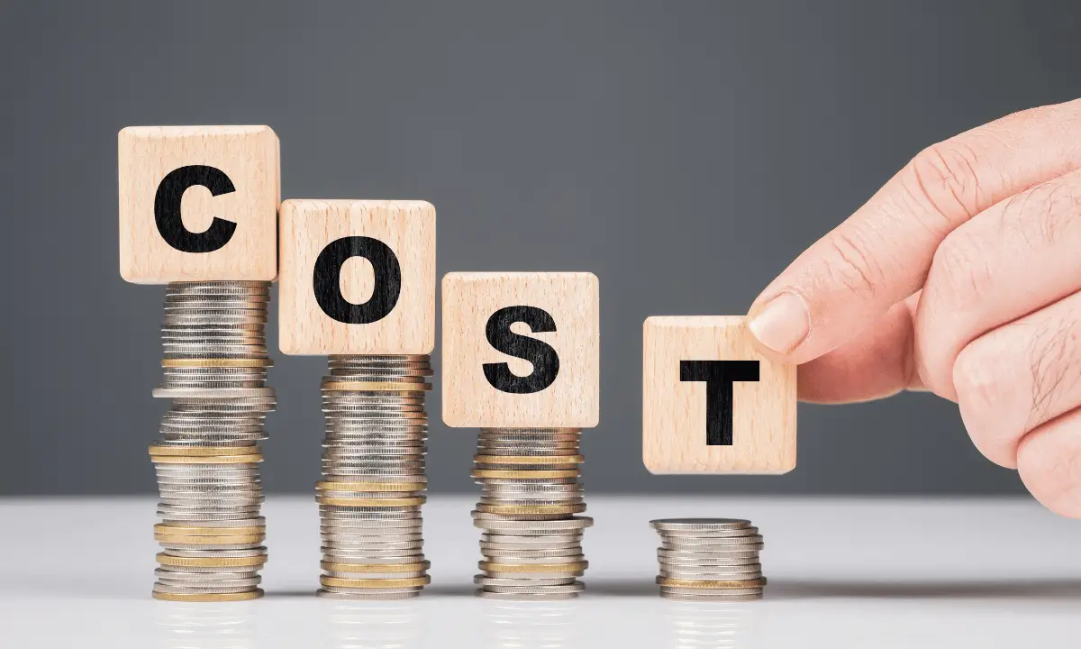 Search Engine Optimization (SEO) Price in the USA What to Expect and How to Choose Wisely - TECHenya Solutions