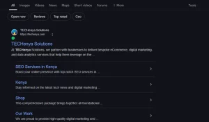 Showing Up on The Front Page for Keywords is very Important - TECHenya Solutions